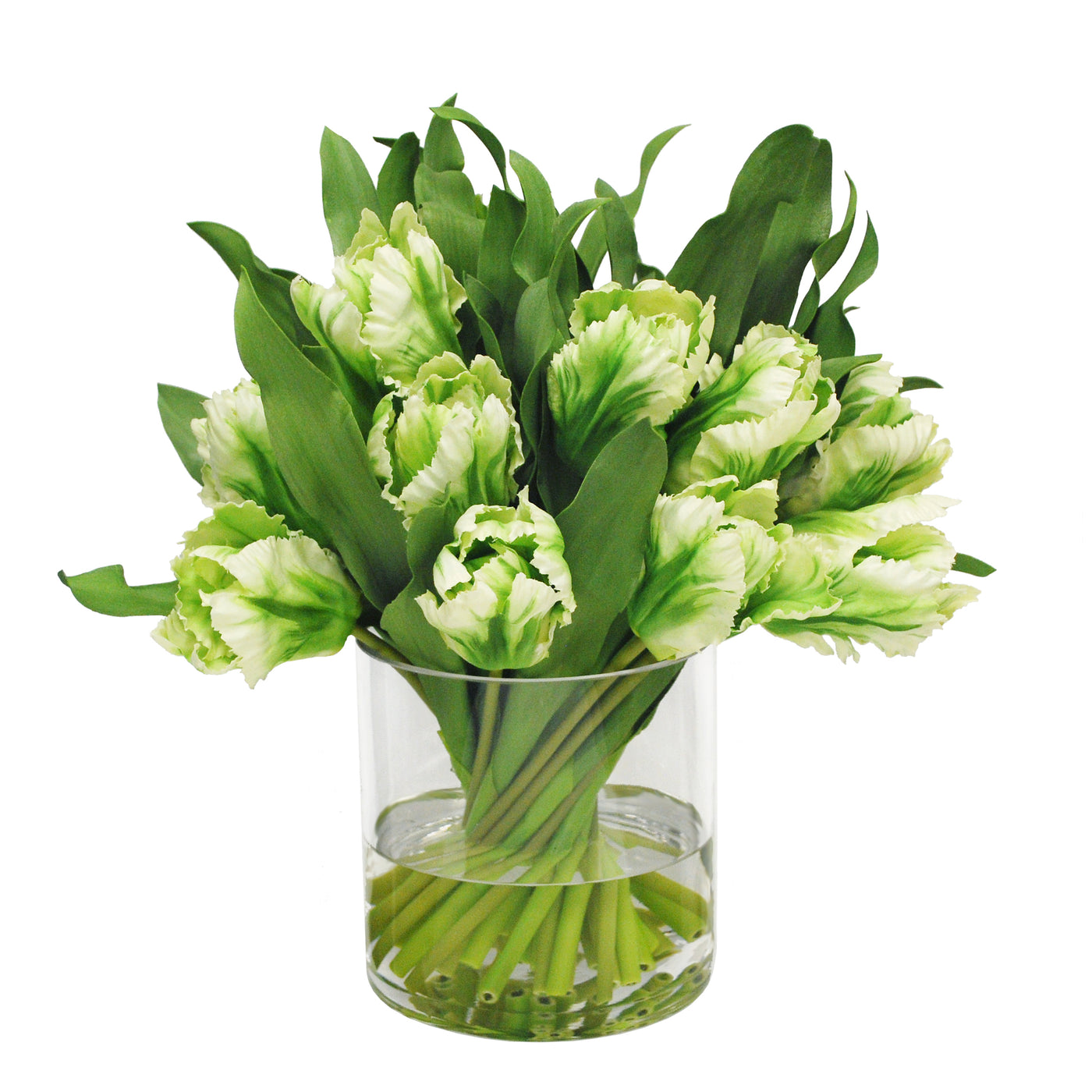 Tulip in Cylinder Vase 15"
