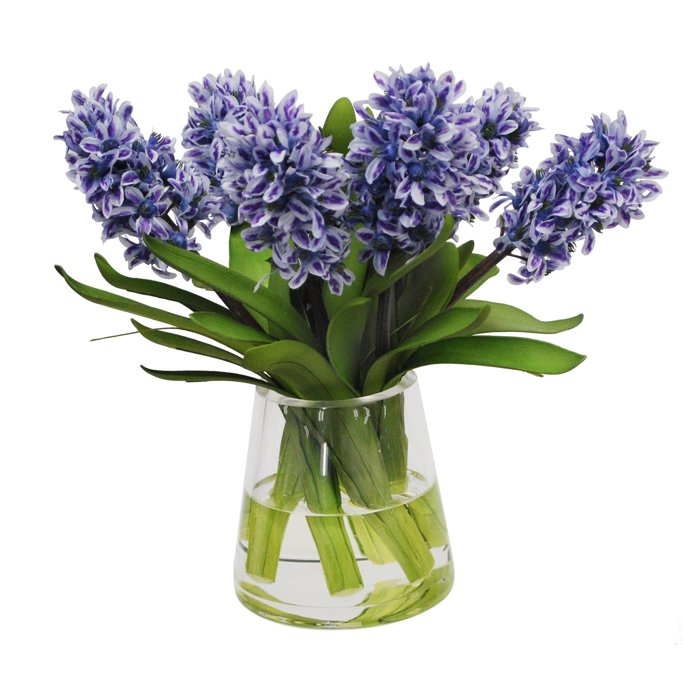 BLUE HYACINTH IN GLASS 13"