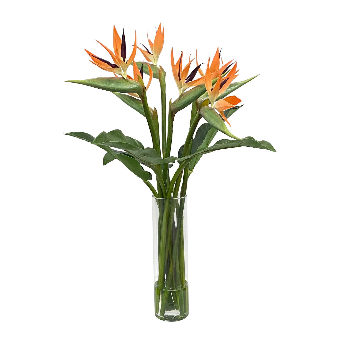 BIRD OF PARADISE IN VASE LARGE 33"