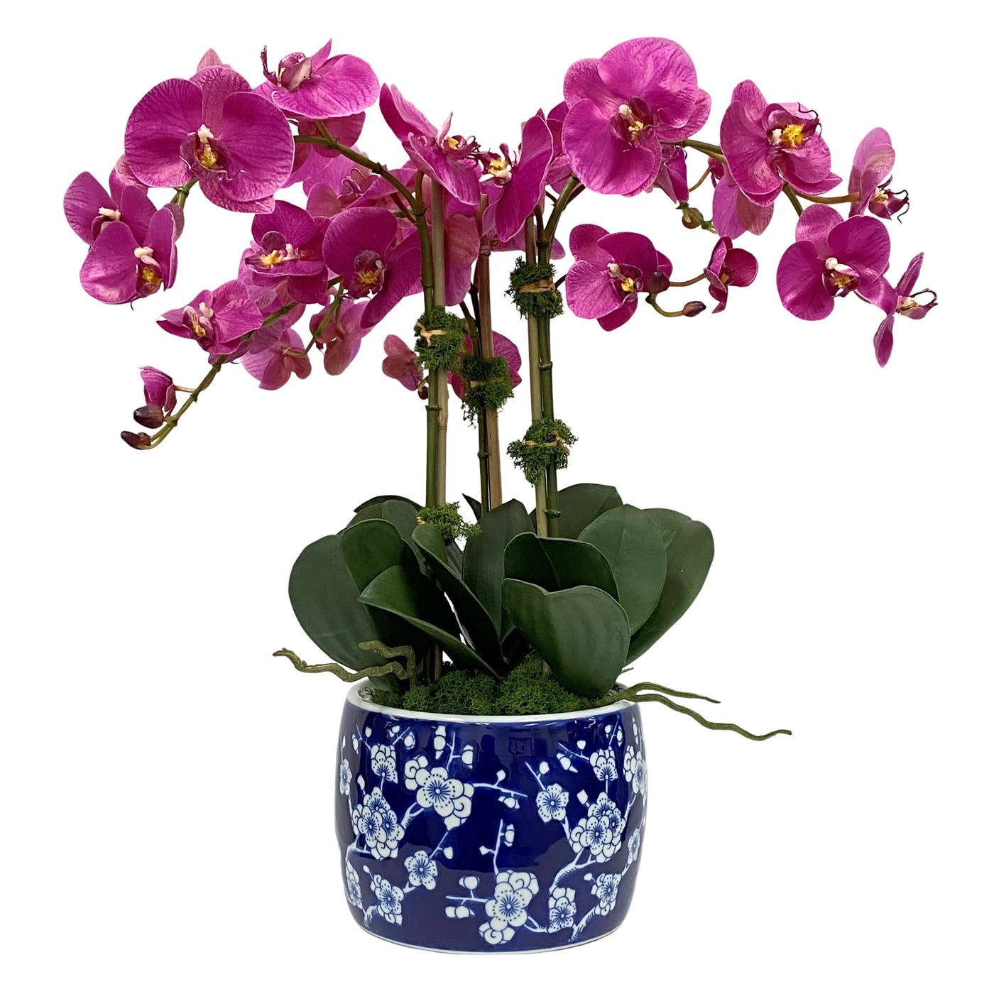 realistic high-quality faux orchids in porcelain planter