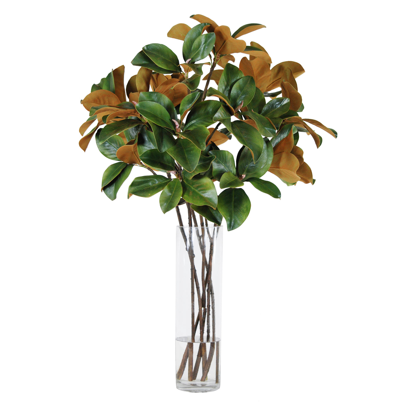 Magnolia Leaf in Vase 46"