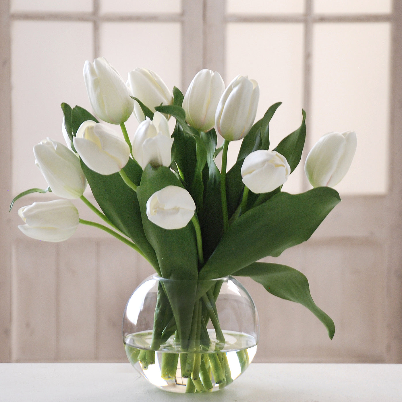 TULIP BUBBLE BOWL (WHD049-WH)