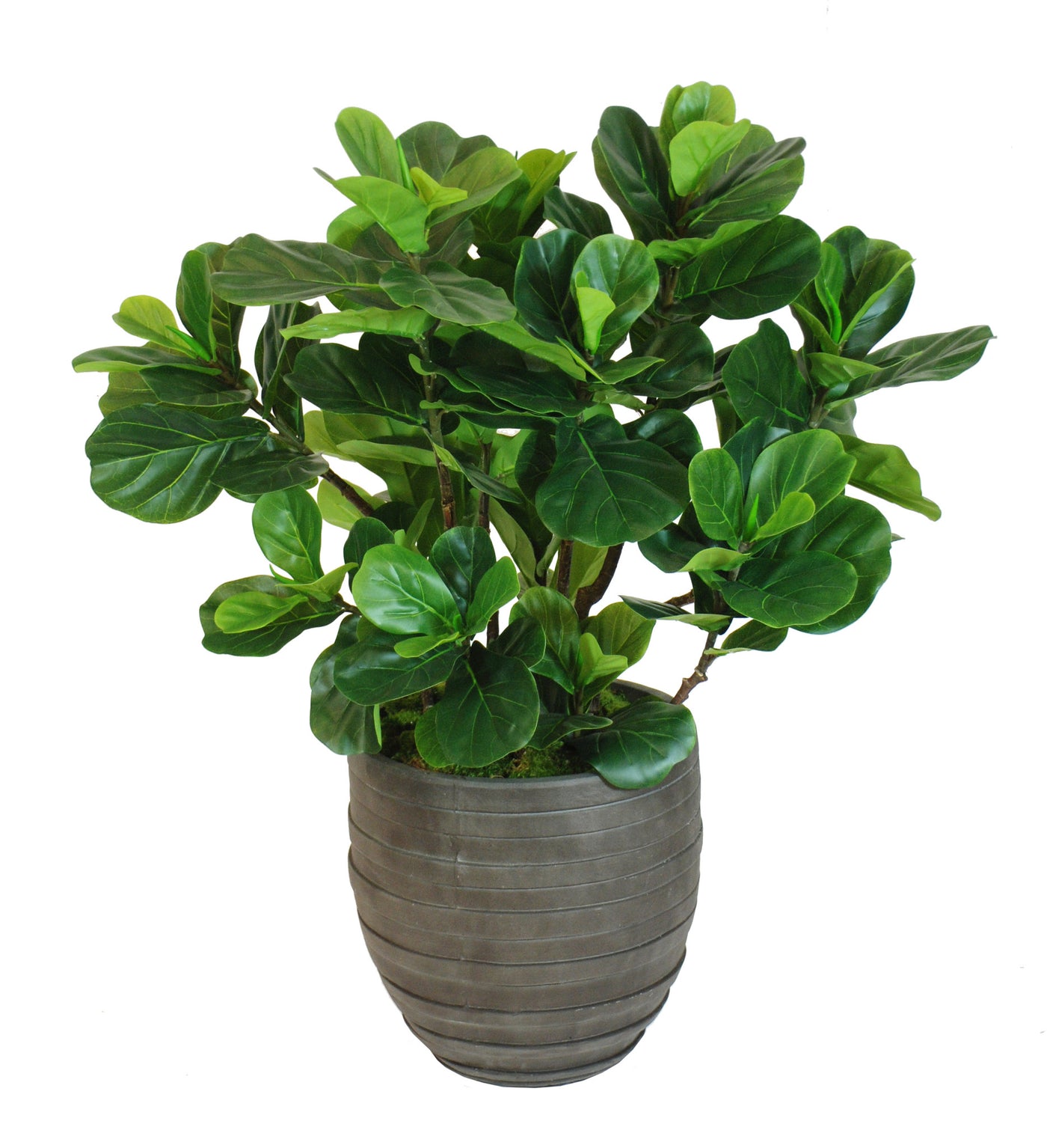 FIDDLE LEAF FIG TREE SMALL (WHD095-GR) - Winward Home faux floral arrangements