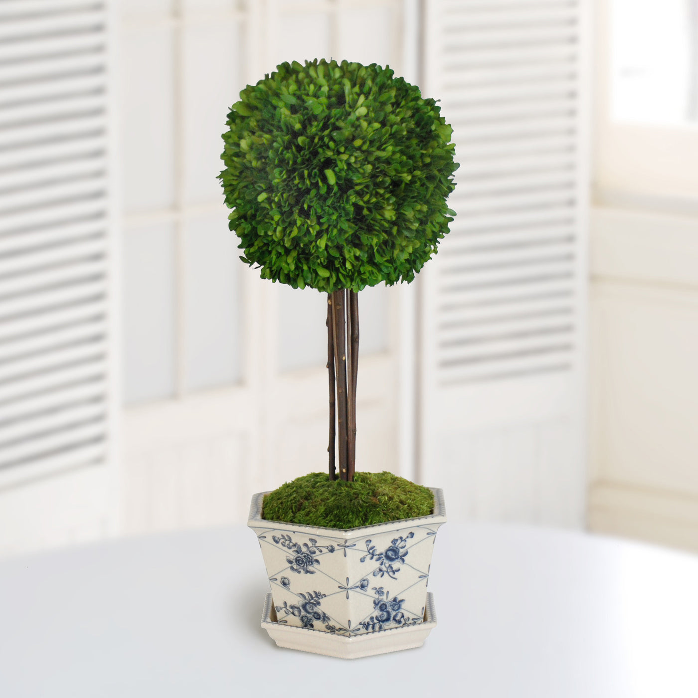 BOXWOOD BALL IN POT CACHE (WHD097-GR) - Winward Home faux floral arrangements