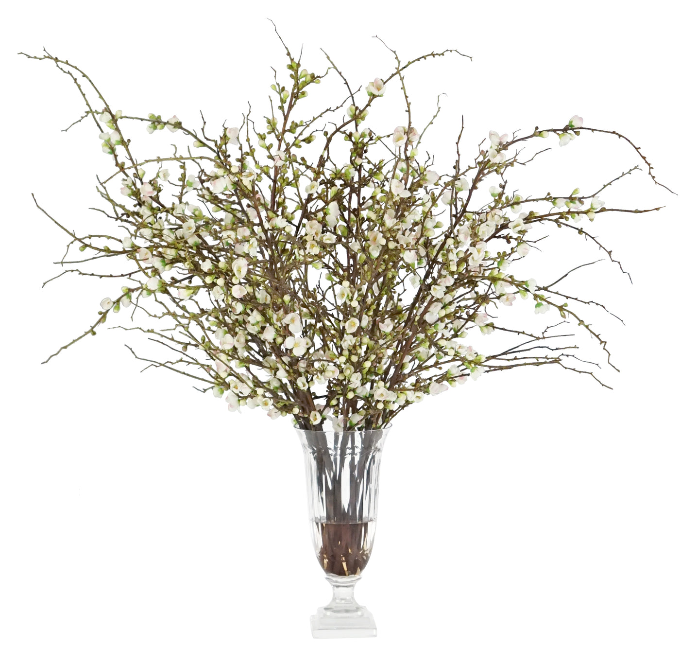 BLOSSOM IN STRIPE CUT VASE (WHD162-BW)