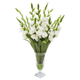 WHITE GLADIOLUS IN CUT VASE (WHD167-WH)