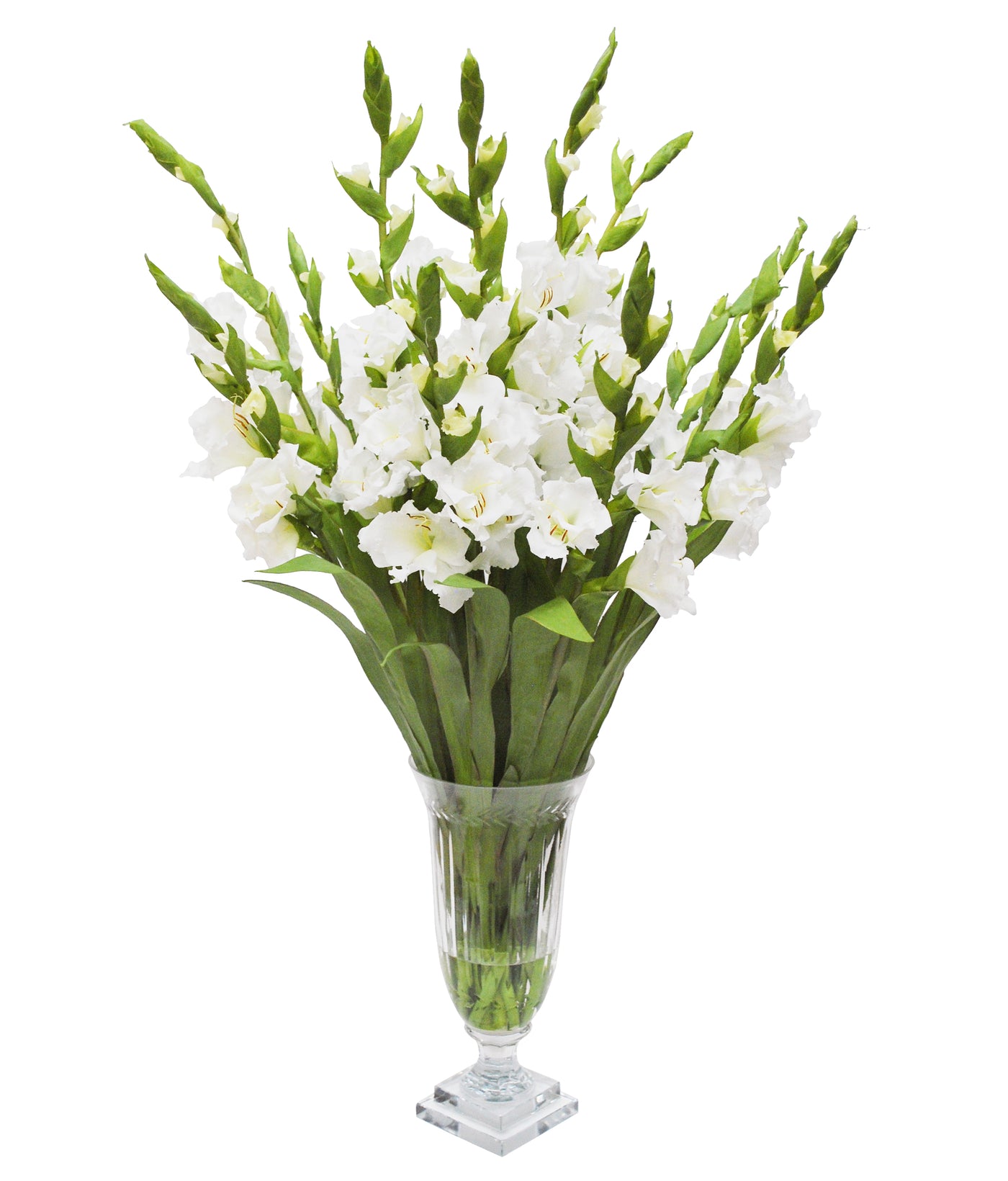 WHITE GLADIOLUS IN CUT VASE (WHD167-WH)