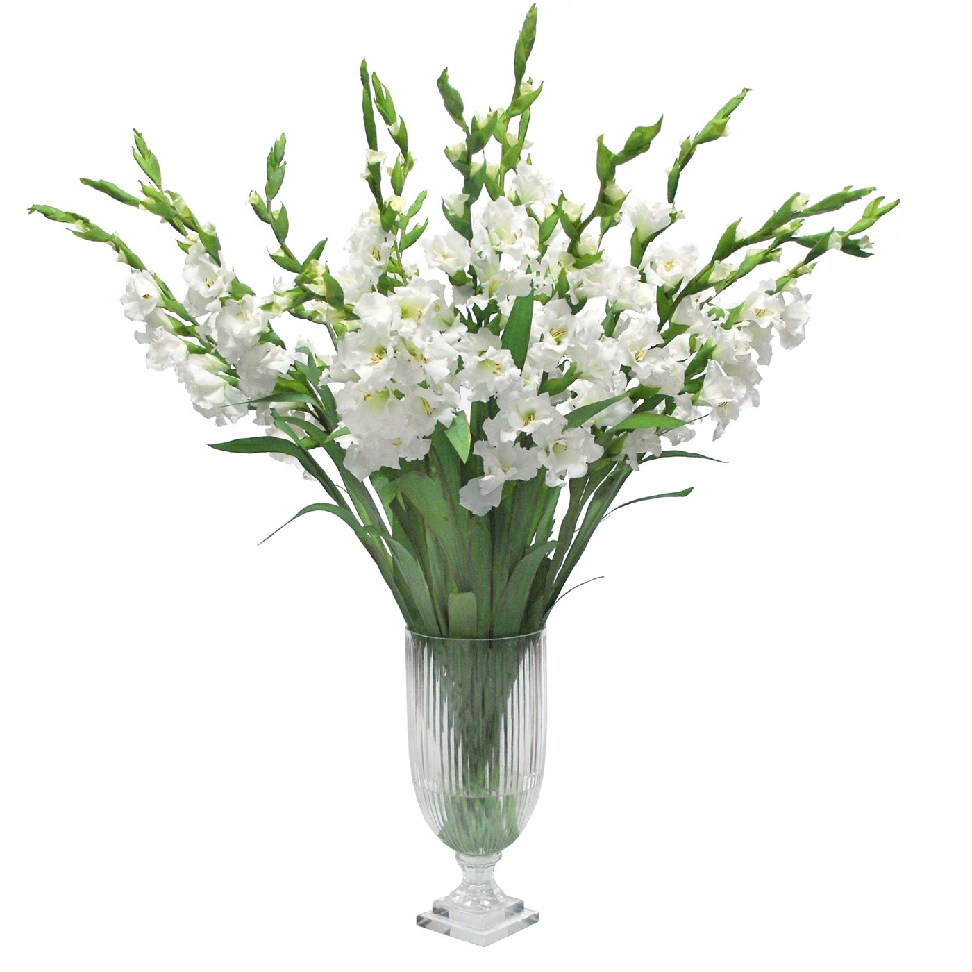 White Gladiolus in Cut Vase 48"