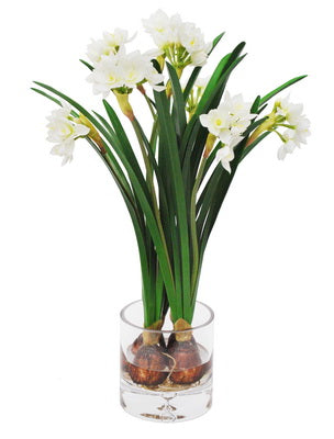 NARCISSUS IN CLEAR VASE 17.5"