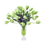 PARROT TULIP IN LEAF CUT VASE (WHD173-WHGR)