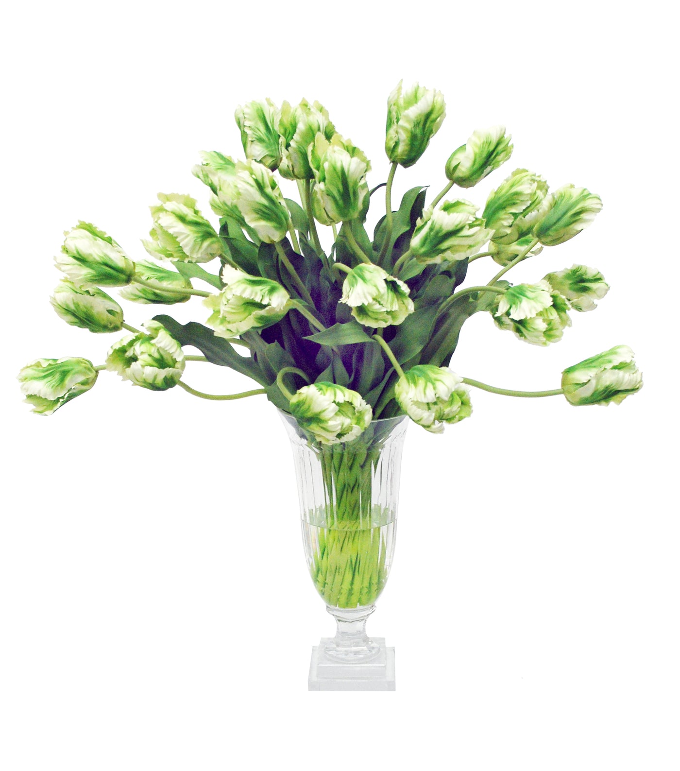 PARROT TULIP IN LEAF CUT VASE (WHD173-WHGR)