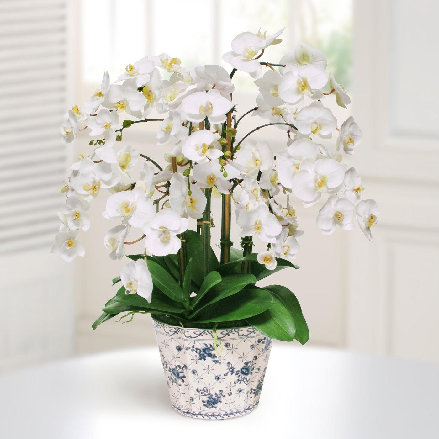 White artificial phalaenopsis orchids in chinoiserie white and blue container
