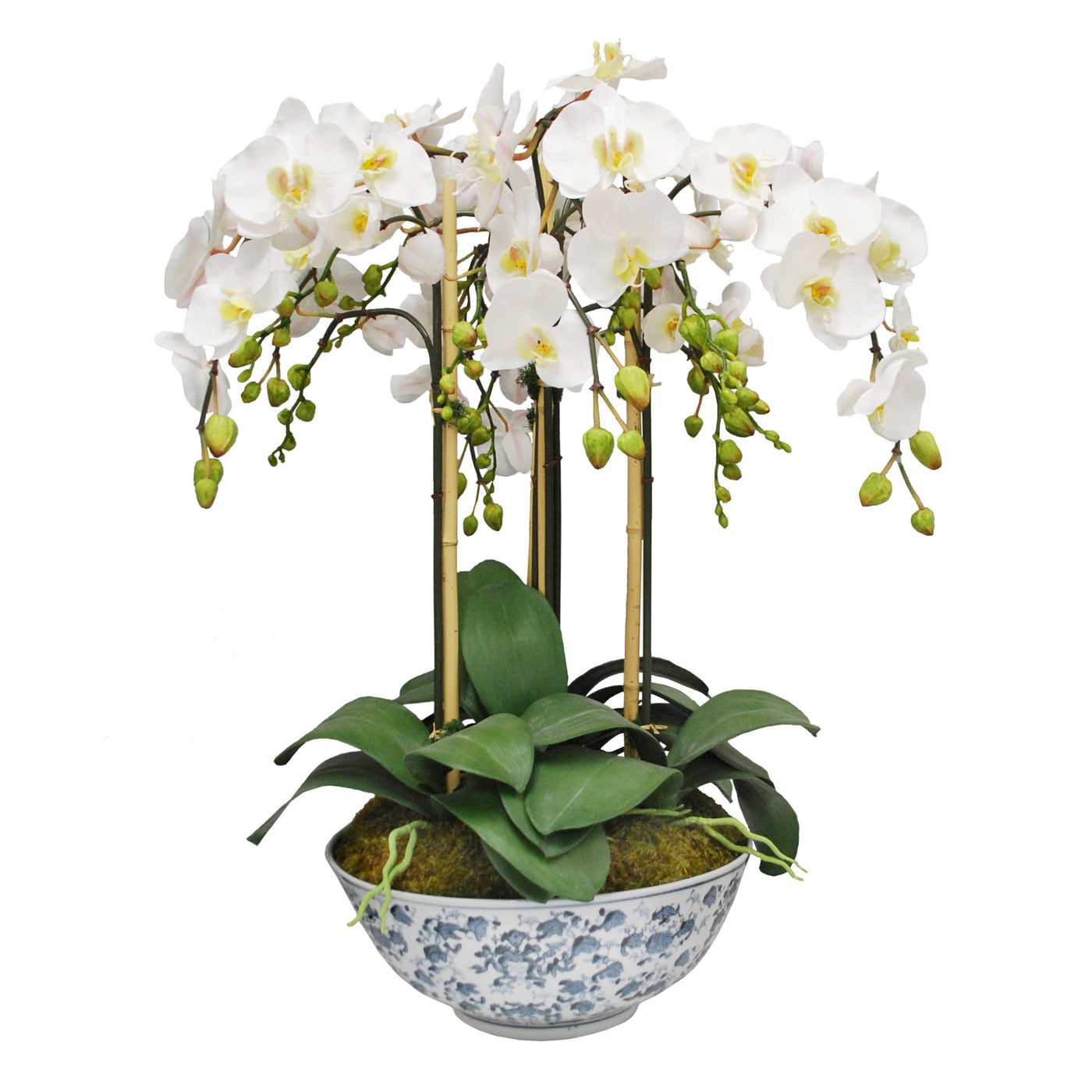 ORCHID IN LONG LIFE BOWL (WHD182-WH)