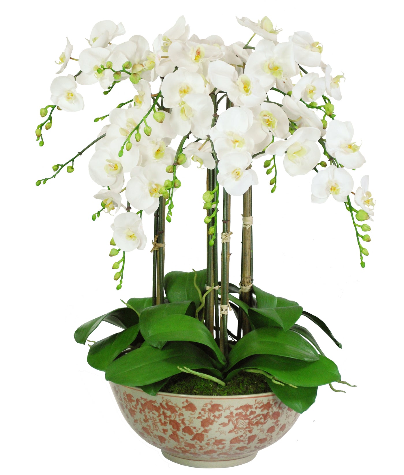 ORCHID IN LONG LIFE BOWL (WHD183-WH)
