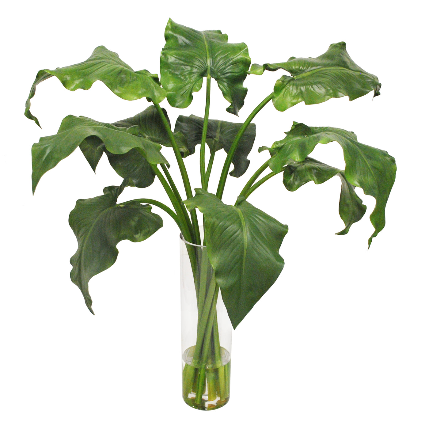 Calla Leaf in Slim Round Vase 38"
