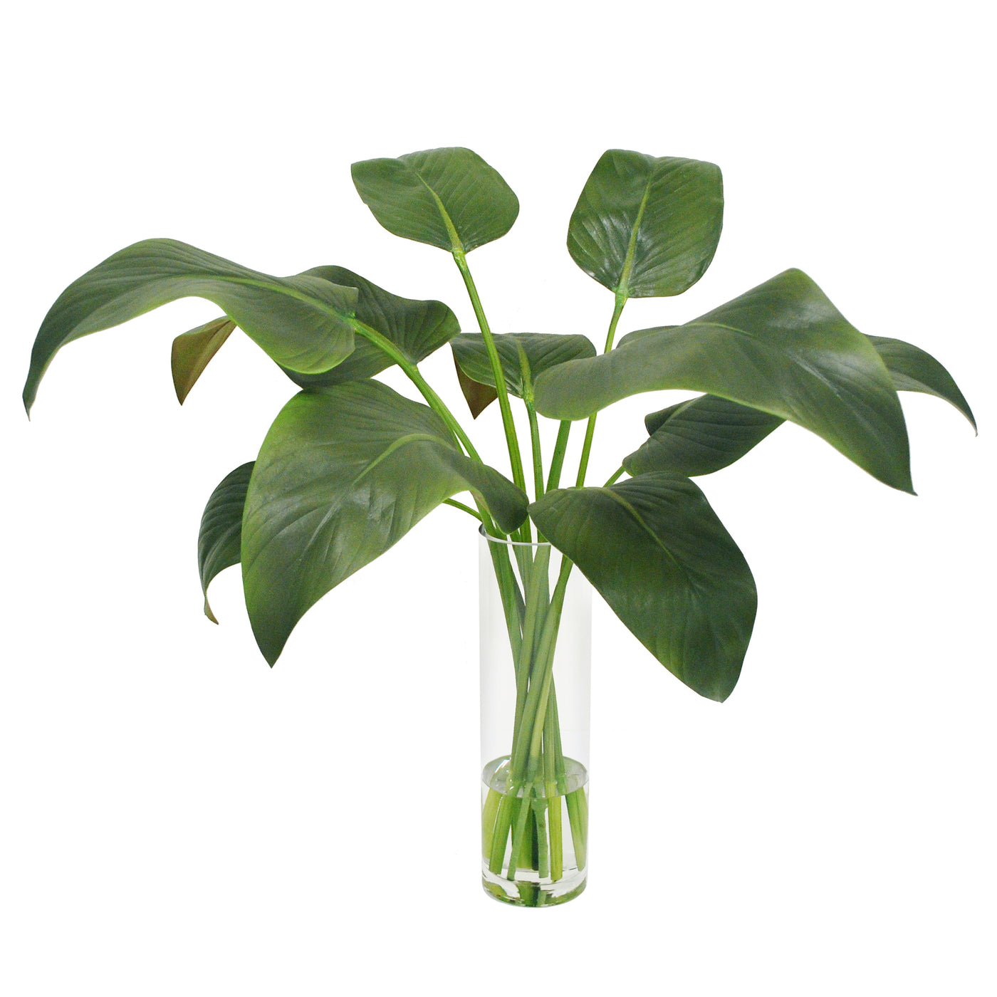 CALLA LEAF IN SLIM ROUND VASE 25"
