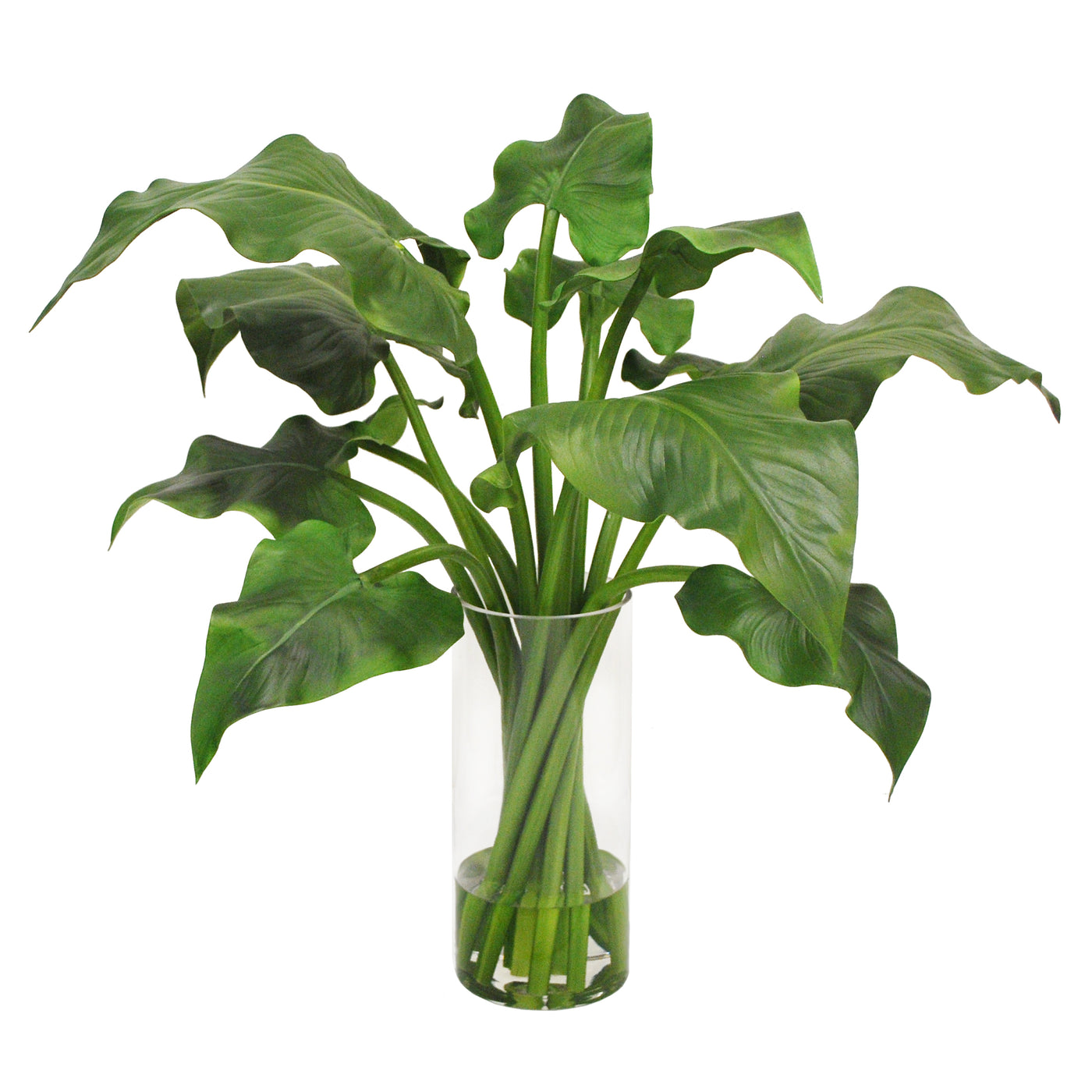 CALLA LEAF IN SLIM ROUND VASE 29"