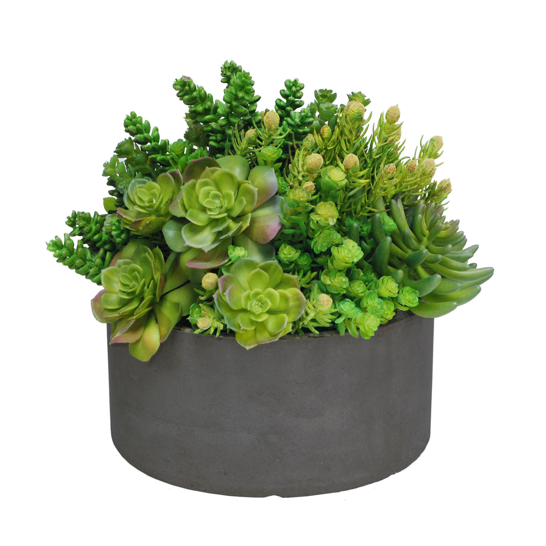 tall outdoor succulents Succulent Tall Garden Planter 14