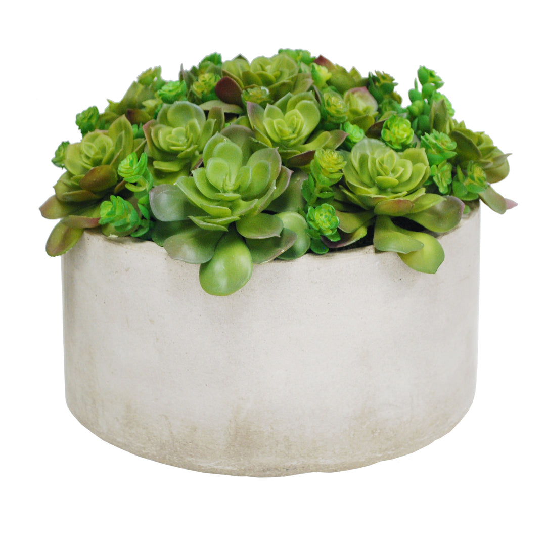 Succulent Garden Planter (Whd203-grtp) Green