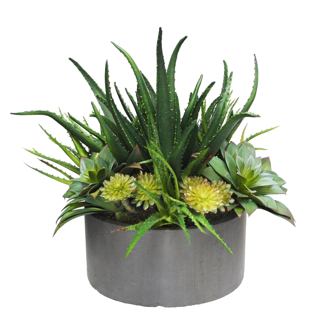 aloe vera succulent arrangement BASAL ALOE SUCCULENT PLANTER (WHD205-GYGR)