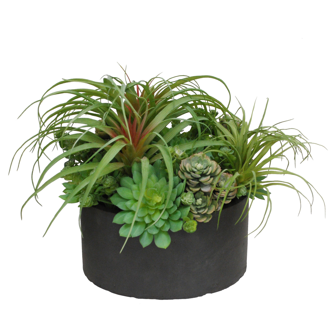 BROMELIAD SUCCULENT PLANTER (WHD206-GYGR)