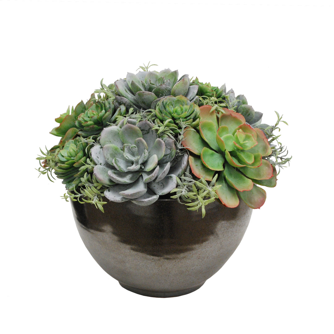 faux succulent bowl Mix Succulent in Crete Bowl 10" Green