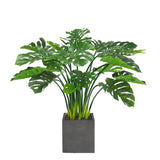 SPLIT LEAF PHILO PLANTER 3.7'