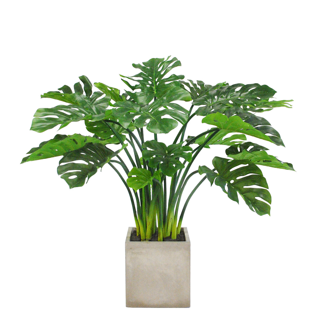faux plant grey pot Faux Split Leaf Philo Planter 3.7' Light Grey
