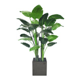 Travelers Palm Potted Tree 6'