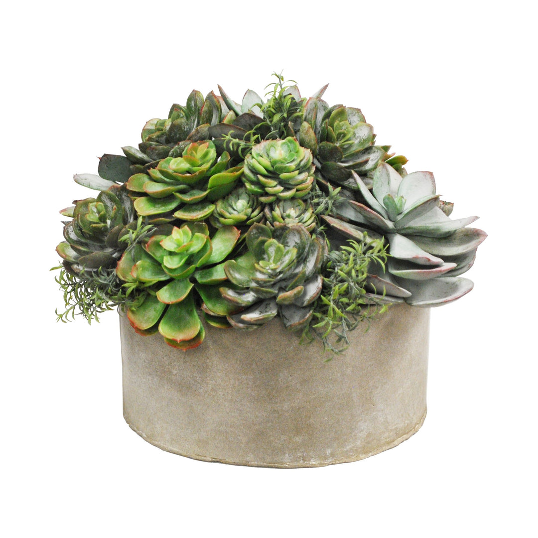 succulent planter size Mix Succulent Garden Planter (Whd217-grtp)
