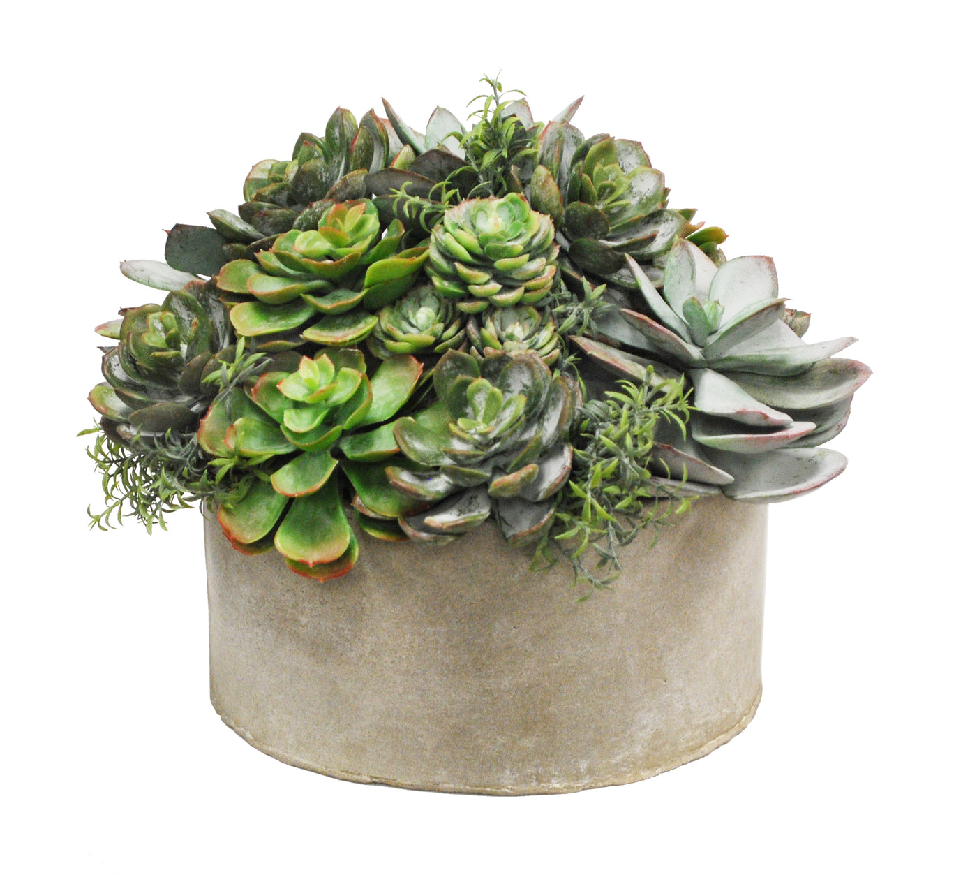 MIX SUCCULENT GARDEN PLANTER (WHD217-GRTP)