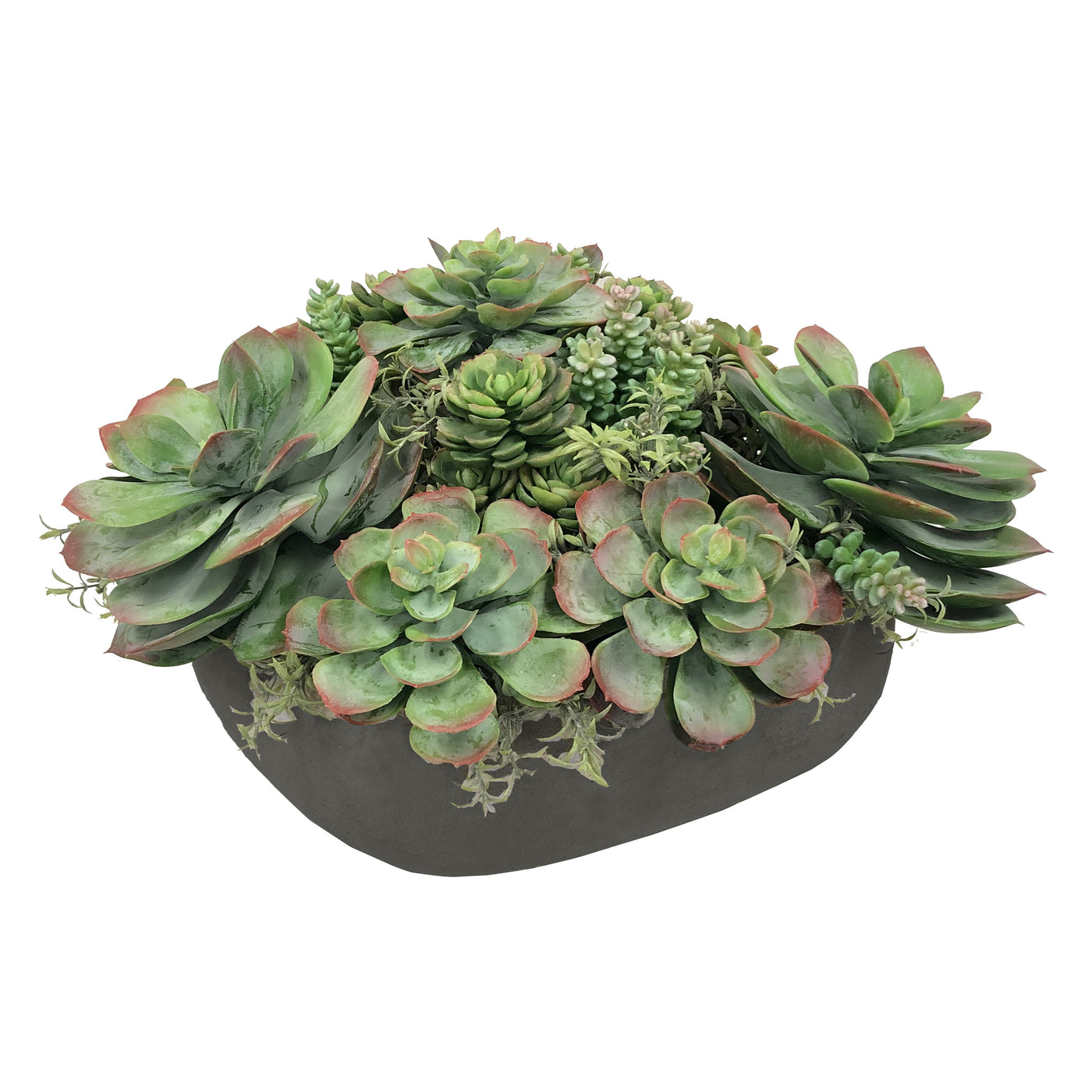 MIX SUCCULENT IN CASUAL TRAY 11.5''