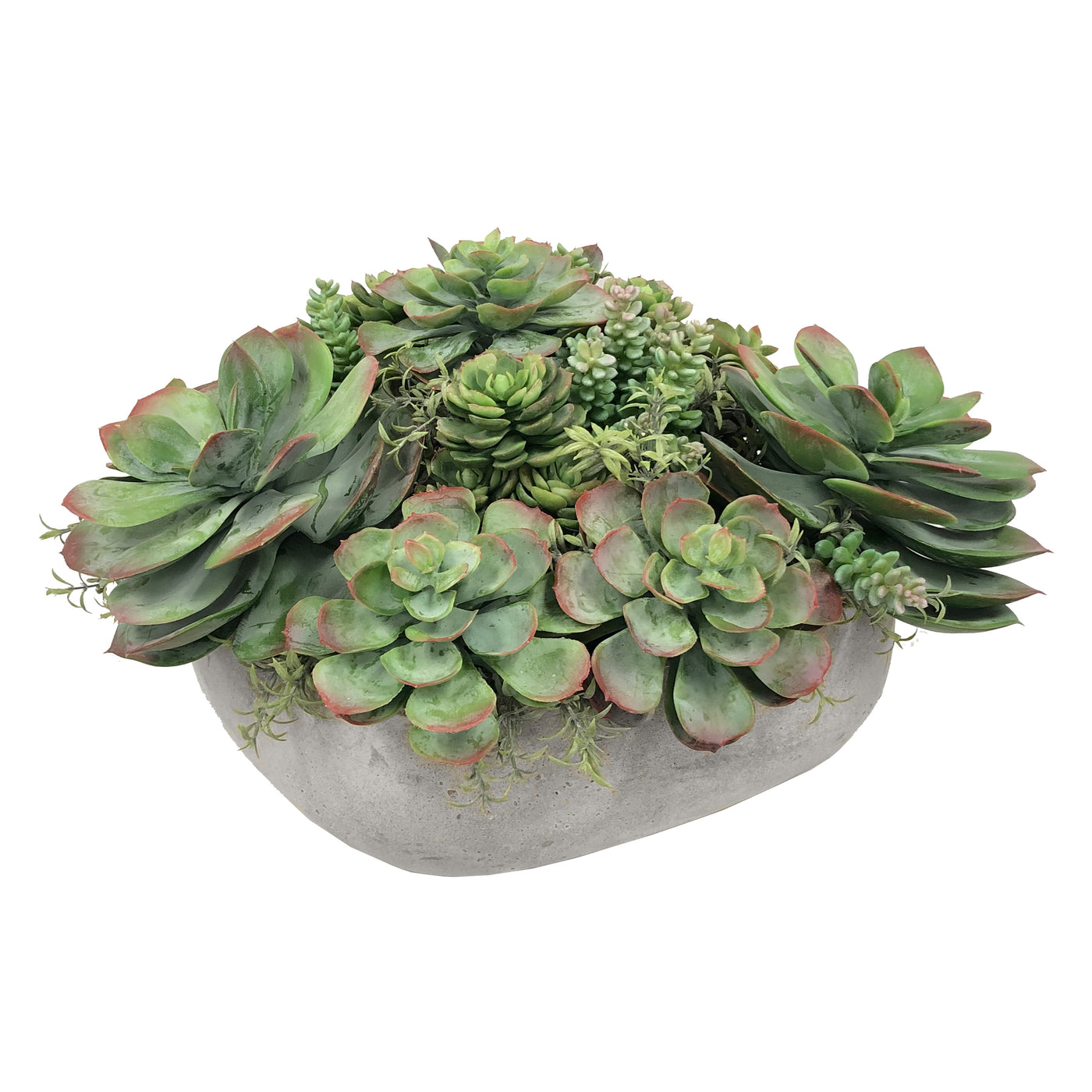 MIX SUCCULENT IN CASUAL TRAY 11.5''