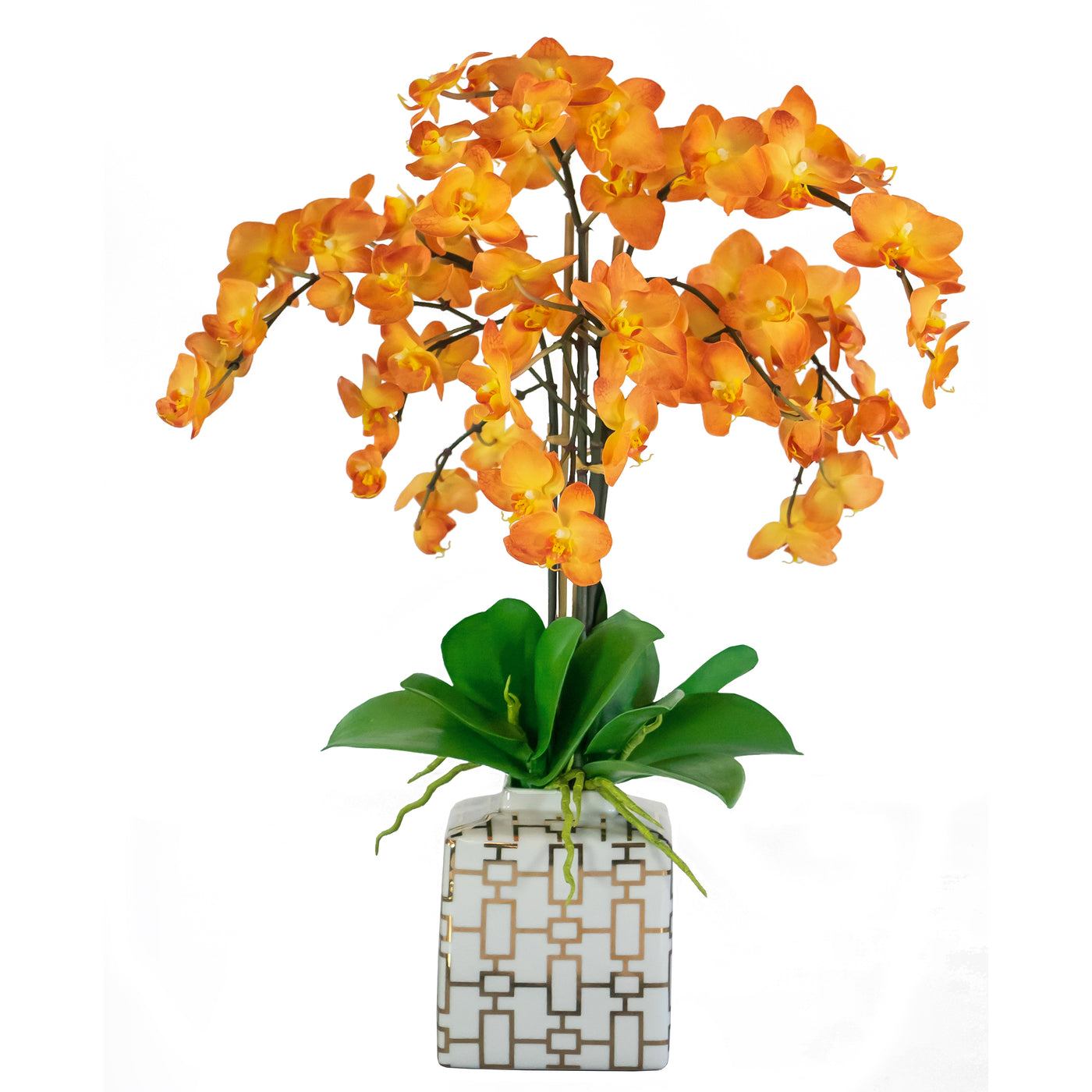 PHALAENOPSIS IN CERAMIC SQUARE VASE (WHD225-OR)