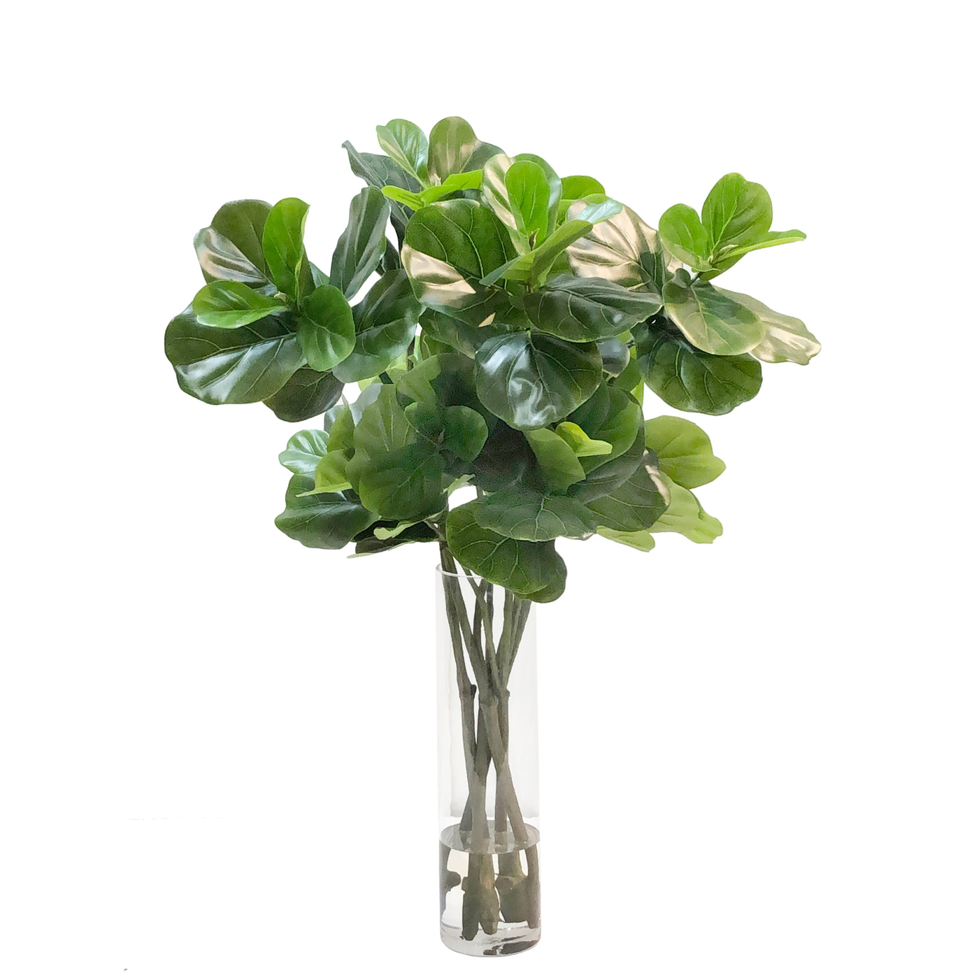 Fiddle Leaf in Vase 40"
