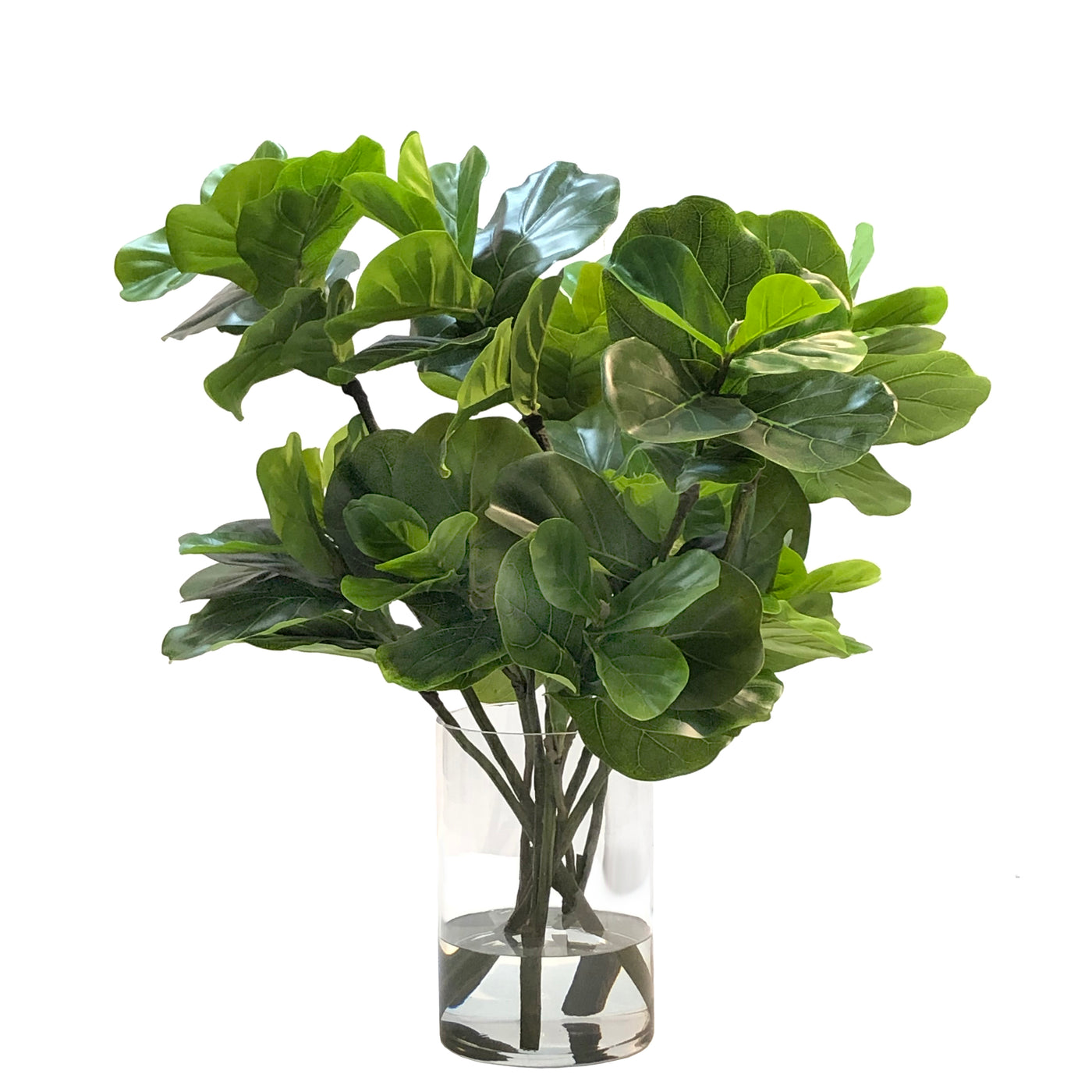 Fiddle Leaf in Vase 33"