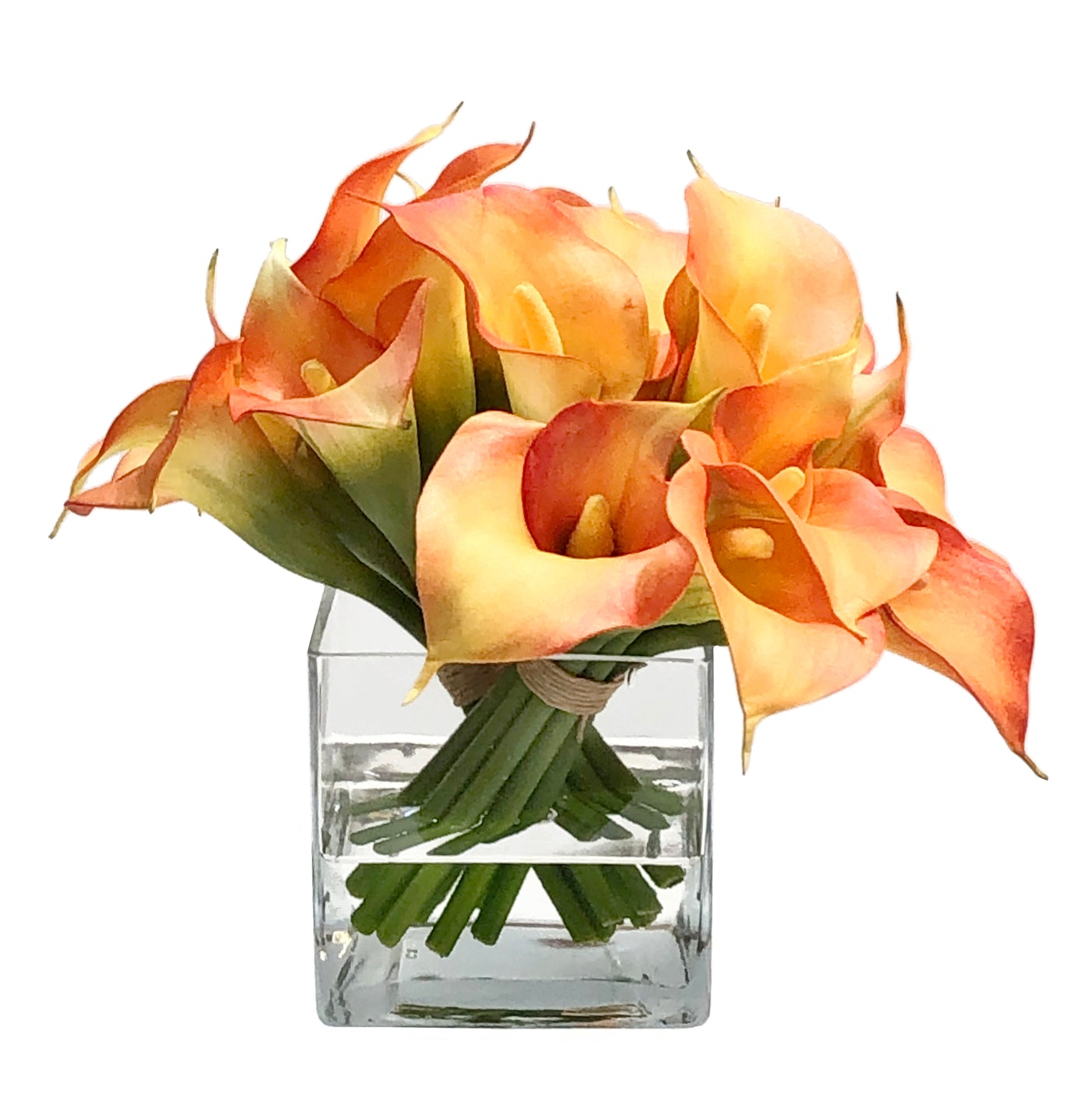 DUAL CALLA IN CUBE (WHD242-OR)