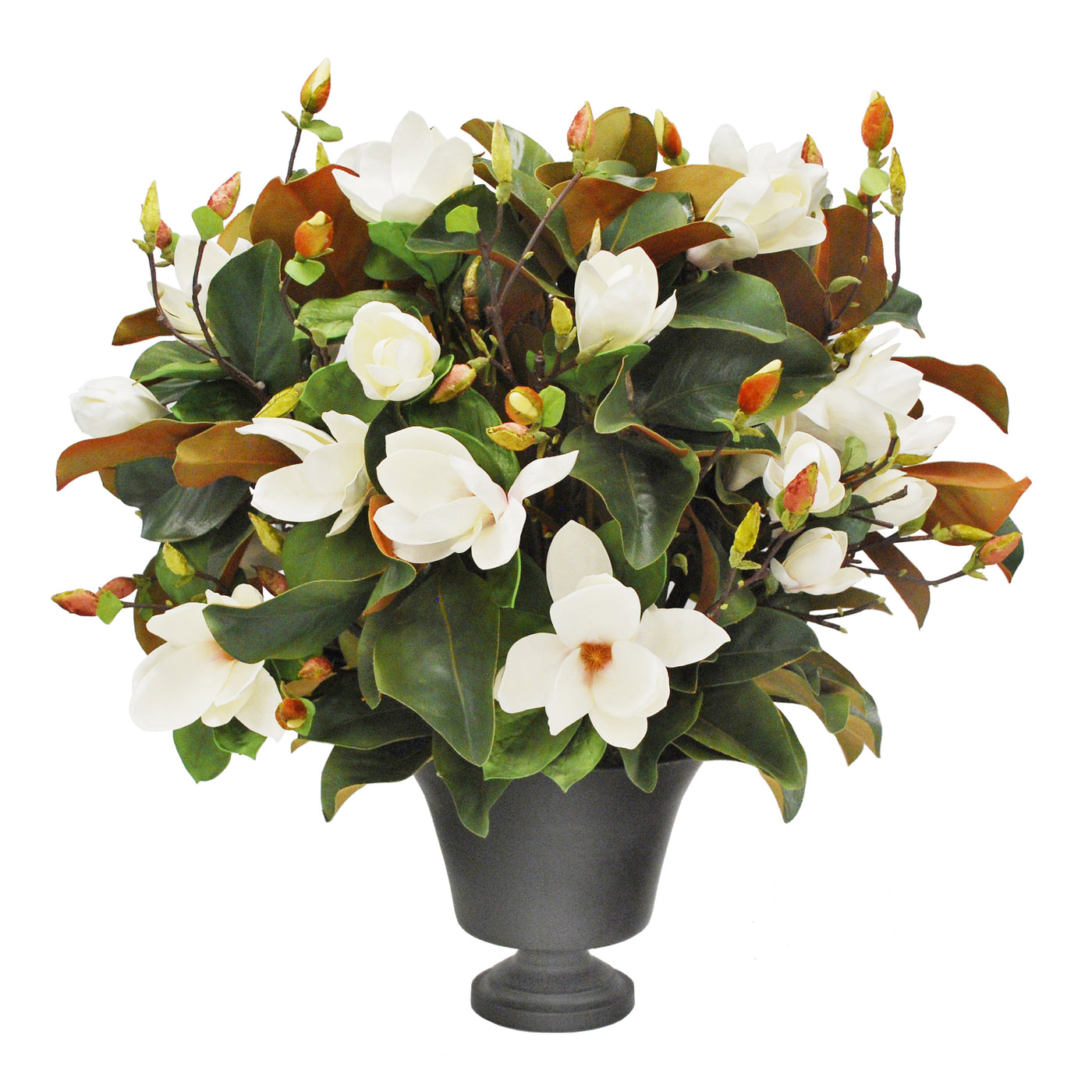 TREE MAGNOLIA IN BLACK PLANTER (WHD248-WH)