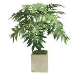 MONSTERA IN PLANTER 4'