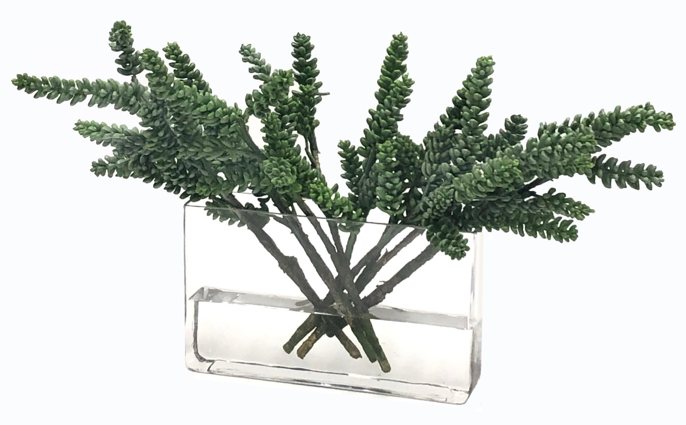 SUCCULENT IN RECTANGLE VASE 13"