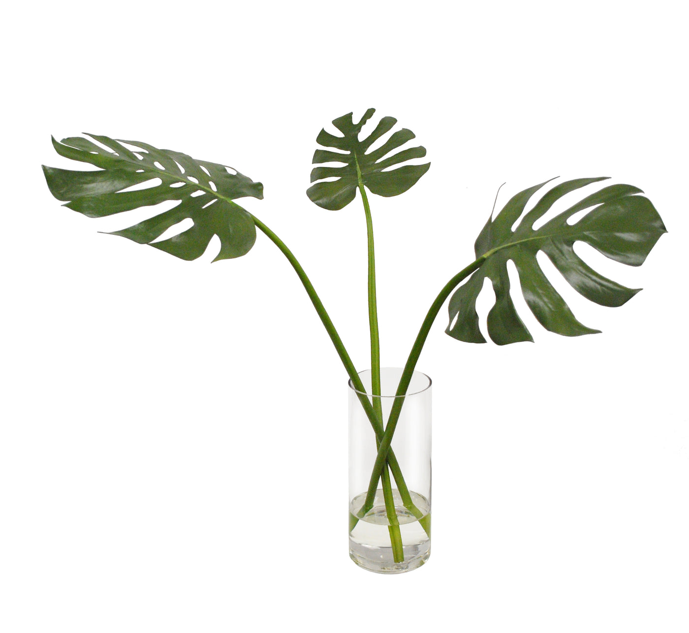 TRI MONSTERA IN VASE 29"