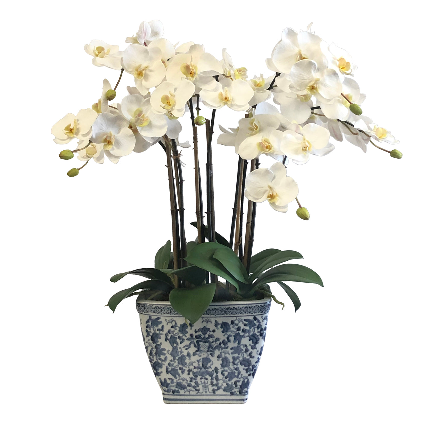 ORCHIDS IN RECT CACHE POT (WHD273-BLWH)