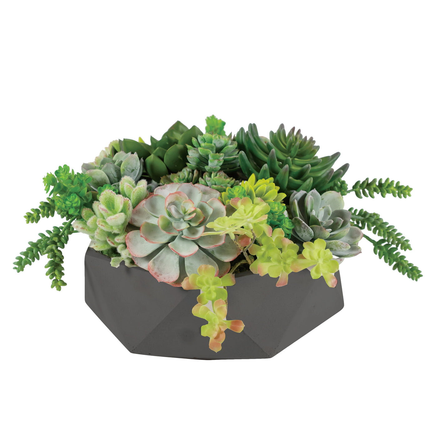 MIX SUCCULENT IN HEXAGON POT 9"