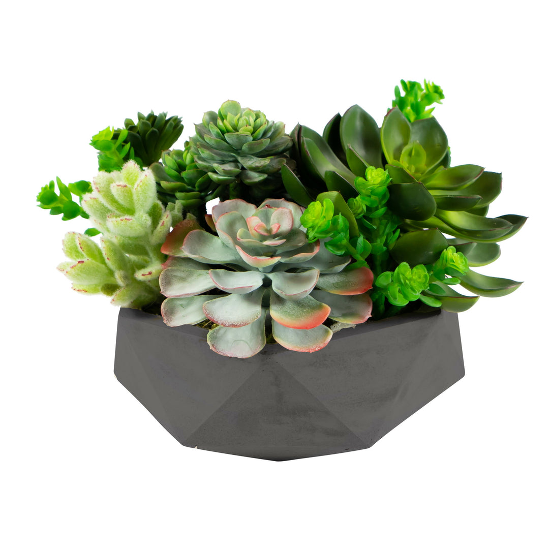 succulents for kitchen Faux Mix Succulent in Hexagon Pot 8" Charcoal