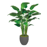Travelers Palm in Stonecast Pot 6'