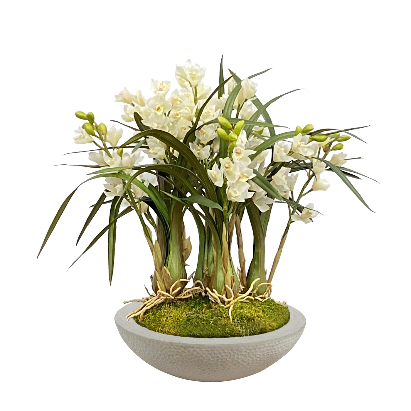 ORCHID CYMBIDIUM IN PLANTER 27"