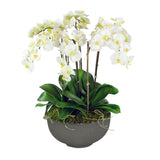 ORCHIDS IN BOWL 28"