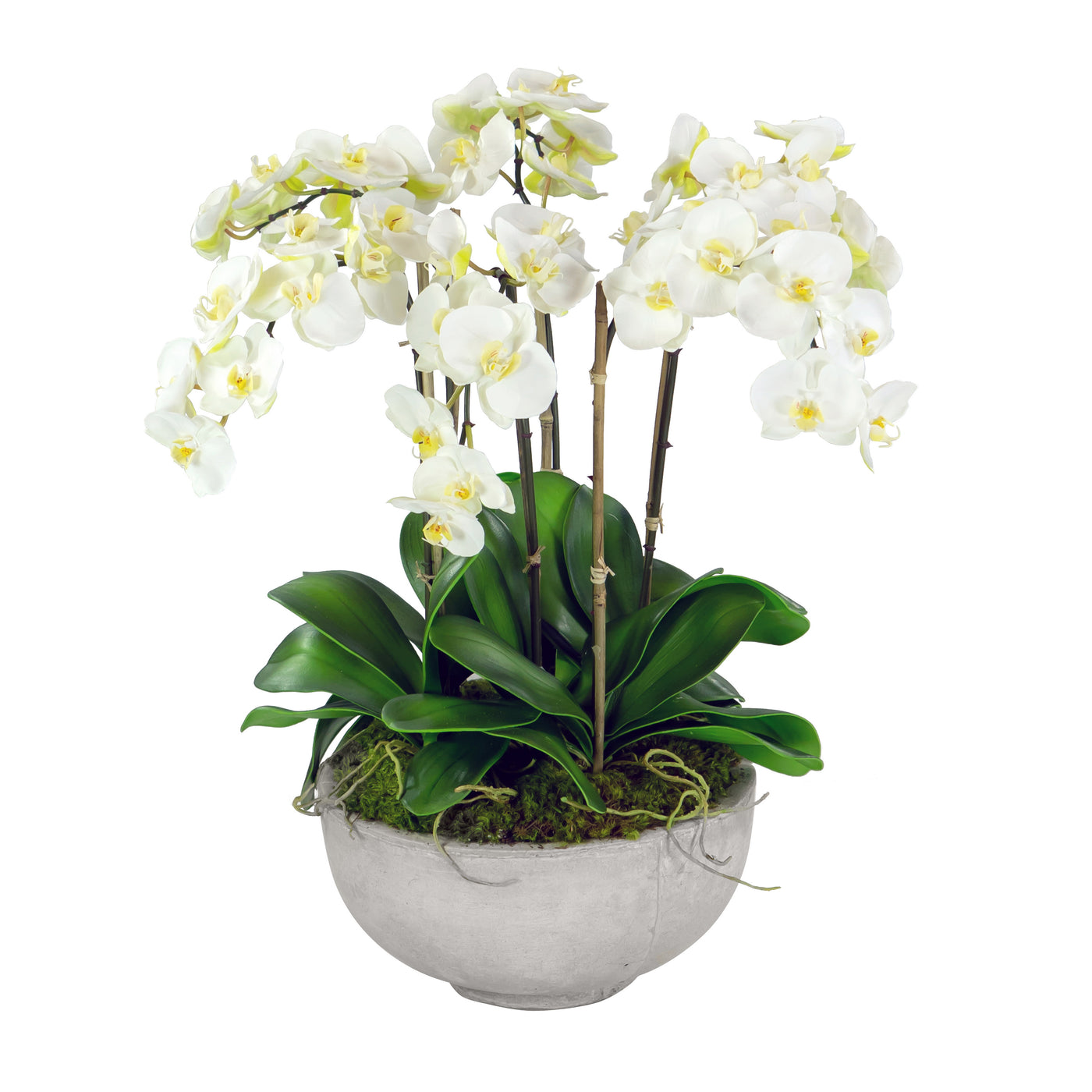 ORCHIDS IN BOWL 28"