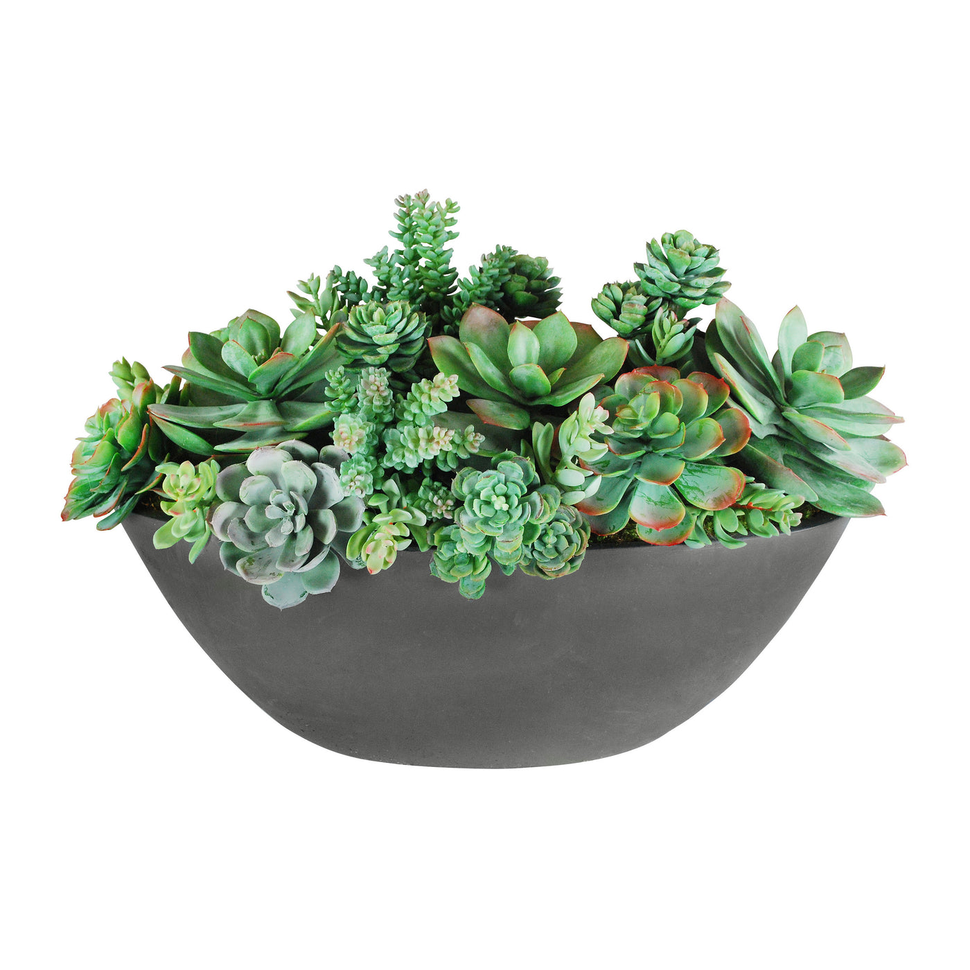 SUCCULENT MIX IN OVAL PLANTER 14"