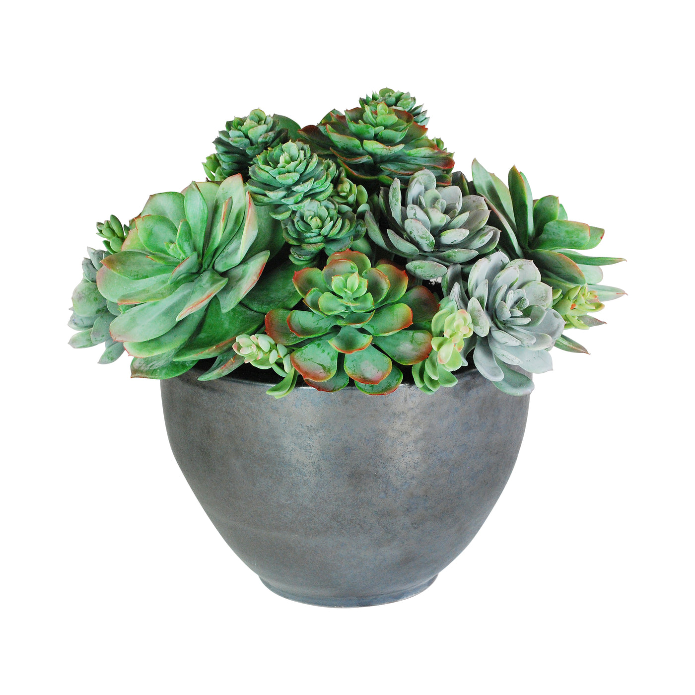 SUCCULENT MIX IN BOWL 16"
